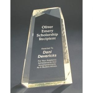 Acrylic Wedge Trophy 8"