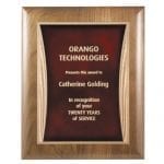Appreciation Plaque Award 8"x10"