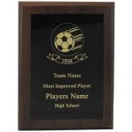Economy Sport Plaques 6"x8"