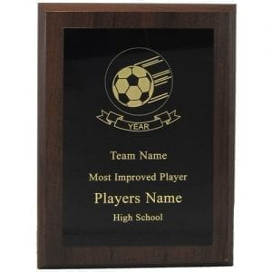 Economy Sport Plaques 6"x8"