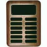 Perpetual Plaque Award 12 Plate