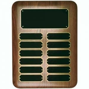 Perpetual Plaque Award 12 Plate