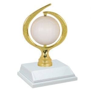 Spinner Volleyball Awards