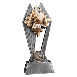 Sun Ray Martial Arts Trophies