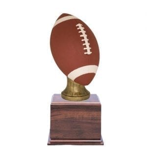 Fantasy Football Award