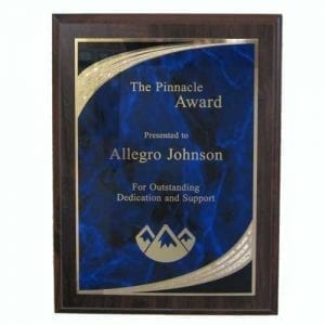 Economy Plaque Awards