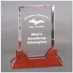 Acrylic and Rosewood Rectangle Awards