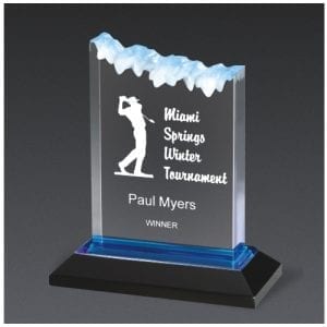 Frosted AcrylicTrophy