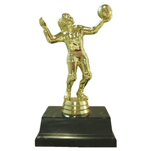 Basic Volleyball Trophy