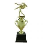 Wrestling Trophy Cup