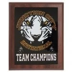 Full Color Award Plaques