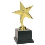 Star Performer Award