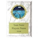 Swimming Plaque with Insert