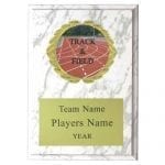 Track Plaque with Insert