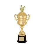Economy Cup Trophies
