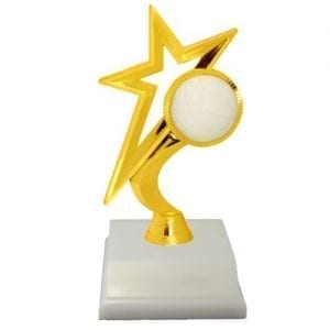 Gold Star Volleyball Trophies