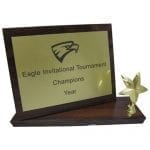 Standing Plaque Team Award