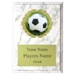 Soccer Insert Plaque