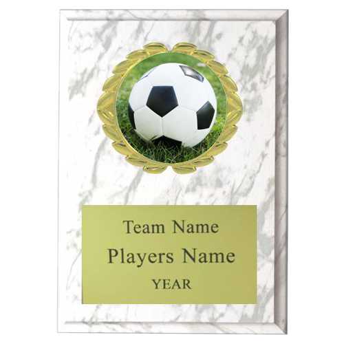 Soccer Insert Plaque