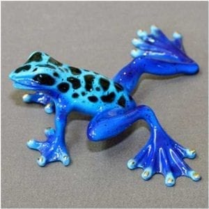 Bronze Frog Rebecca