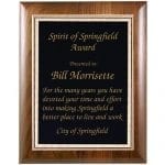 Elegant Walnut Plaque Award 10" x 13"