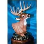 Wildlife Bronze White Tail Deer