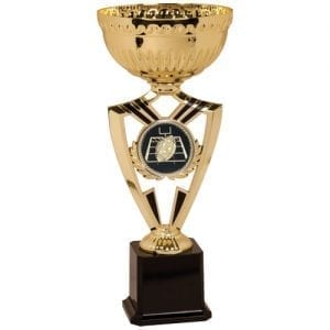 Insert Cup Trophies