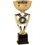Insert Trophy Cups