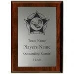 Track Plaque Award