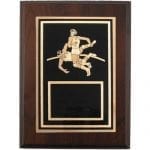 Wrestling Award Plaque