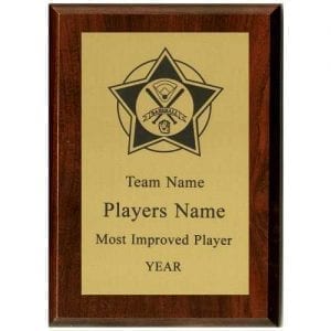 Baseball Star Plaque
