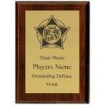 Football Star Plaque Award