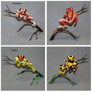 Harlequin, Yellow