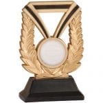 Volleyball Trophy, Dura Resin