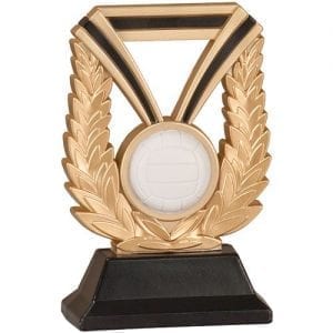 Volleyball Trophy, Dura Resin
