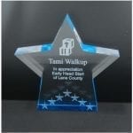 Star Performance Acrylic Awards