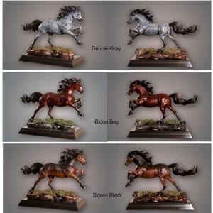 Color Options