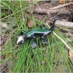 Emerald Small Lizard Casting