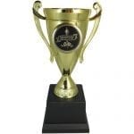 Insert Cup Trophies Medium