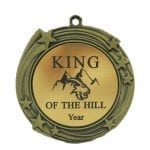 Custom Flexi Insert Medals