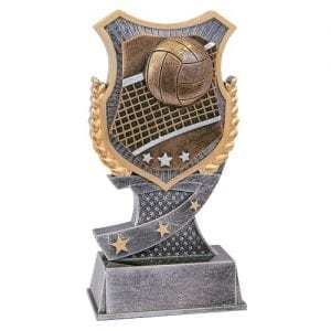 Volleyball Shield Award